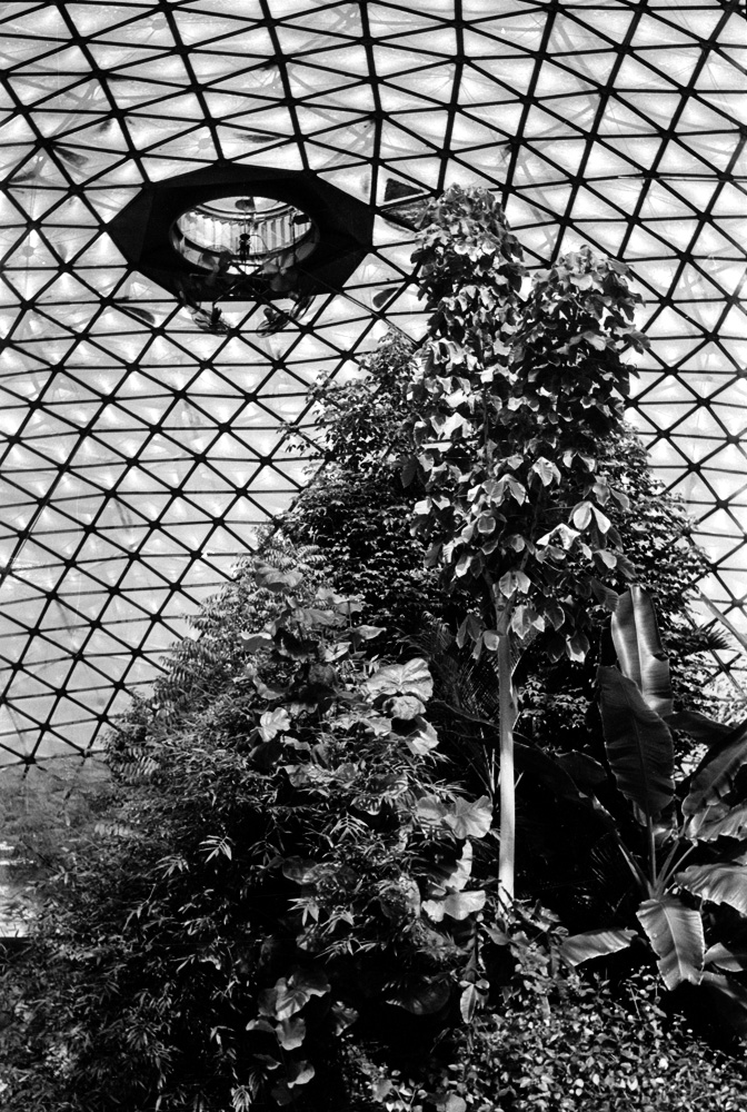 Climatron