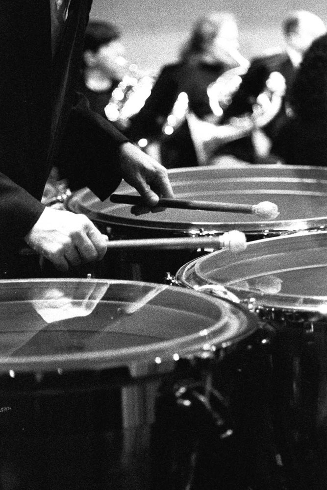 timpani, detail