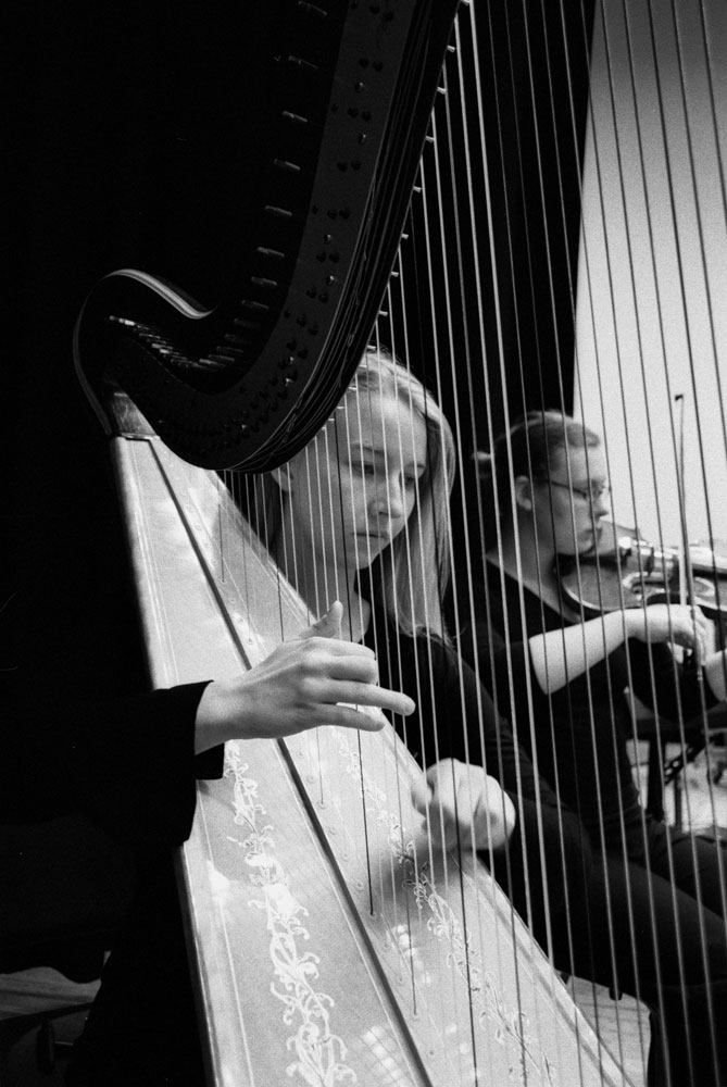 Traci Wanner, harp