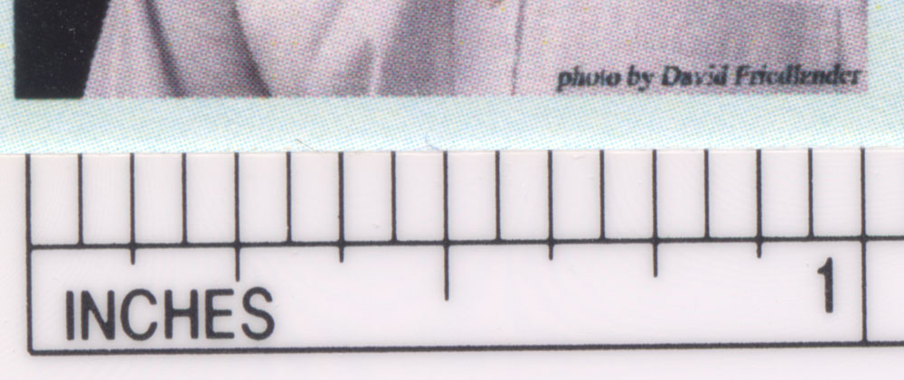 detail of photo bottom