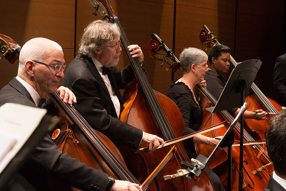bass section