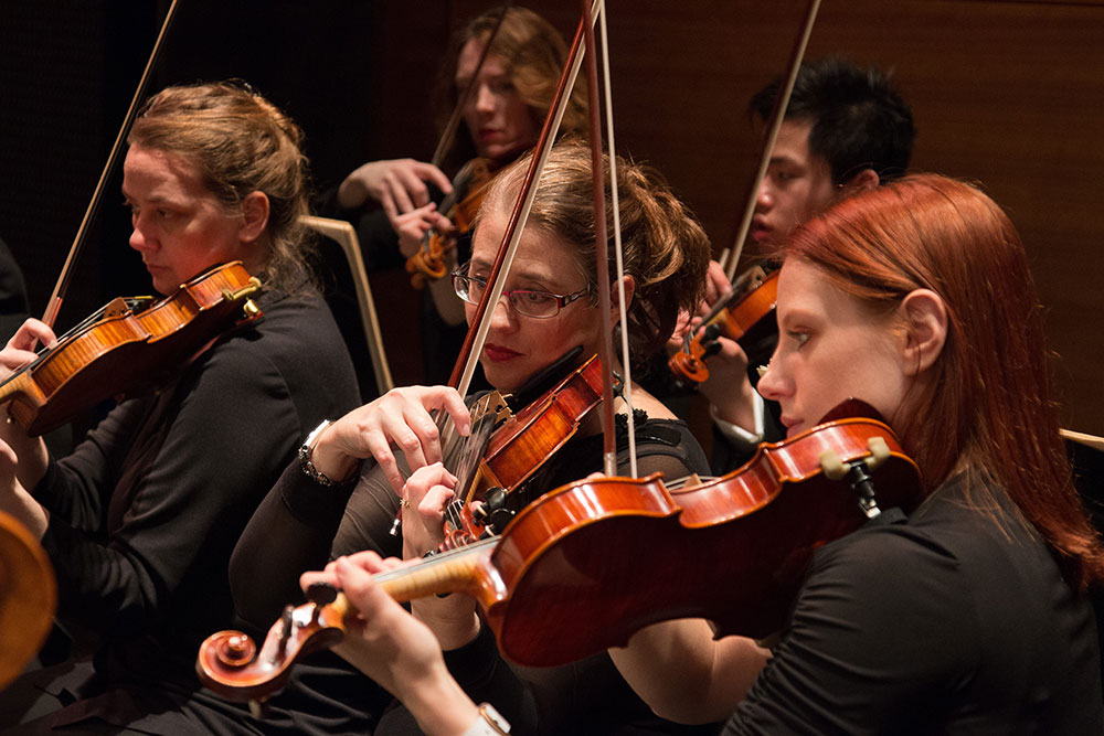 violins